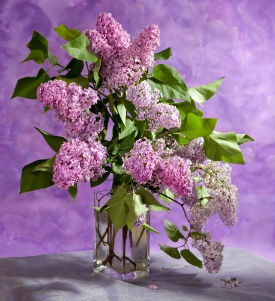 Meaningful, Personal Arrangements Flowers